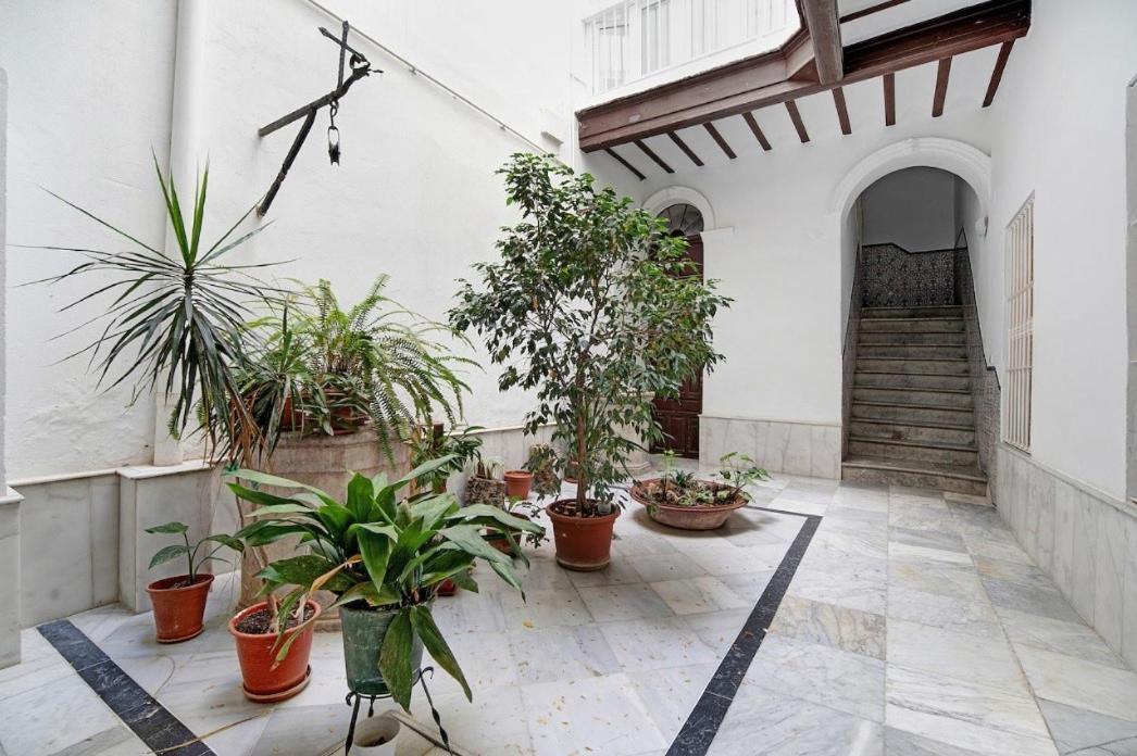 Precioso Alojamiento En Cadiz Junto Al Mercado Exteriör bild
